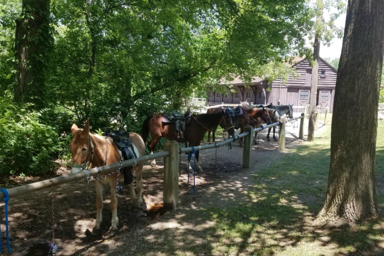 Potawatomi Inn & Cabins Angola Zewnętrze zdjęcie